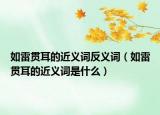 如雷贯耳的近义词反义词（如雷贯耳的近义词是什么）