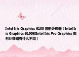 Intel Iris Graphics 6100 图形处理器（Intel Iris Graphics 6100和Intel Iris Pro Graphics 图形处理器有什么不同）