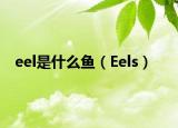 eel是什么鱼（Eels）