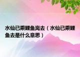 水仙已乘鲤鱼离去（水仙已乘鲤鱼去是什么意思）