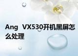 Ang  VX530开机黑屏怎么处理