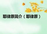 耶律原简介（耶律原）