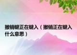 撤销键正在键入（撤销正在键入什么意思）
