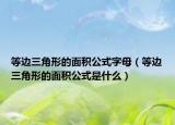 等边三角形的面积公式字母（等边三角形的面积公式是什么）