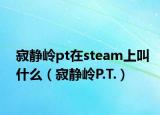 寂静岭pt在steam上叫什么（寂静岭P.T.）