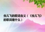 虫儿飞的歌词含义（《虫儿飞》的歌词是什么）
