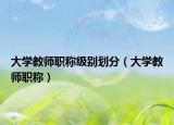 大学教师职称级别划分（大学教师职称）