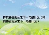 择其善者而从之下一句是什么（择其善者而从之下一句是什么）