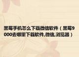 黑莓手机怎么下载微信软件（黑莓9000去哪里下载软件,微信,浏览器）