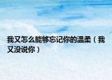 我又怎么能够忘记你的温柔（我又没说你）