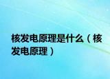 核发电原理是什么（核发电原理）