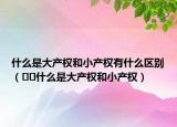 什么是大产权和小产权有什么区别（﻿﻿什么是大产权和小产权）