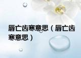 唇亡齿寒意思（唇亡齿寒意思）