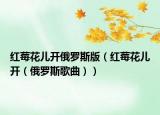 红莓花儿开俄罗斯版（红莓花儿开（俄罗斯歌曲））