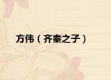 方伟（齐秦之子）