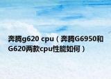 奔腾g620 cpu（奔腾G6950和G620两款cpu性能如何）