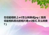 在佳能相机上cr2怎么转换成jpg（我用佳能相机照出的相片是cr2格式,怎么转换?）