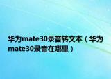 华为mate30录音转文本（华为mate30录音在哪里）
