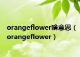 orangeflower啥意思（orangeflower）