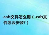 cab文件怎么用（.cab文件怎么安装?）