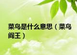 菜鸟是什么意思（菜鸟阎王）