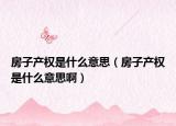 房子产权是什么意思（房子产权是什么意思啊）