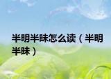 半明半昧怎么读（半明半昧）