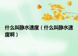 什么叫静水速度（什么叫静水速度啊）