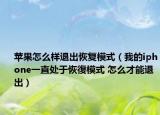 苹果怎么样退出恢复模式（我的iphone一直处于恢復模式 怎么才能退出）