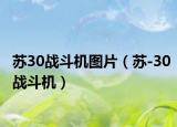 苏30战斗机图片（苏-30战斗机）