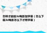 怎样才能给3d电影加字幕（怎么下载3d电影怎么下才有字幕）