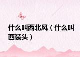什么叫西北风（什么叫西装头）