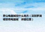 罗山电脑城在什么地方（深圳罗湖哪里有电脑城　详细位置）