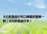 大行折叠自行车口碑最好是哪一款（大行折叠自行车）