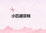小匹德菲特