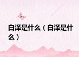 白泽是什么（白泽是什么）