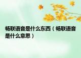 畅联语音是什么东西（畅联语音是什么意思）