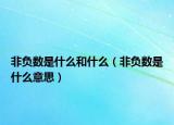 非负数是什么和什么（非负数是什么意思）