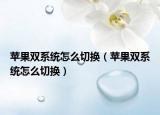 苹果双系统怎么切换（苹果双系统怎么切换）