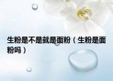 生粉是不是就是面粉（生粉是面粉吗）