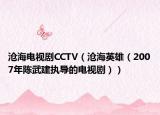 沧海电视剧CCTV（沧海英雄（2007年陈武建执导的电视剧））