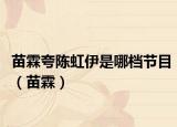 苗霖夸陈虹伊是哪档节目（苗霖）