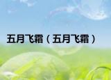 五月飞霜（五月飞霜）