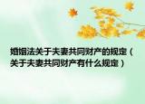 婚姻法关于夫妻共同财产的规定（关于夫妻共同财产有什么规定）