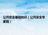 公共安全基础知识（公共安全专家局）