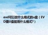 evd可以放什么格式的u盘（EVD插U盘能用什么格式?）