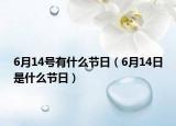 6月14号有什么节日（6月14日是什么节日）