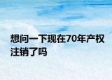 想问一下现在70年产权注销了吗
