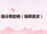 缘分惹的祸（缘醉莫求）