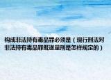 构成非法持有毒品罪必须是（现行刑法对非法持有毒品罪既遂量刑是怎样规定的）